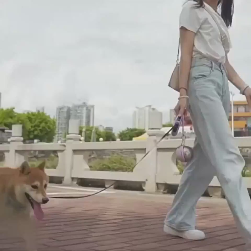 CJDT2758489-2